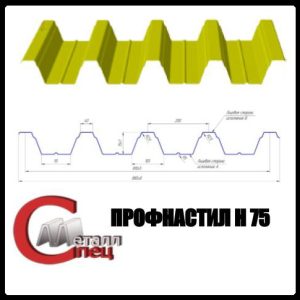 Несучий Профнастил Н-75 / 0,9 мм